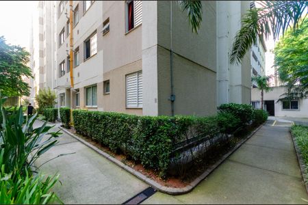 Apartamento para alugar com 42m², 2 quartos e 1 vaga Apartamento para alugar com 42m², 2 quartos e 1 vagaÁrea comum