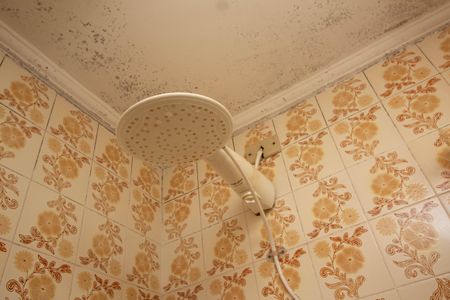 Casa à venda com 530m², 4 quartos e 5 vagasBanheiro