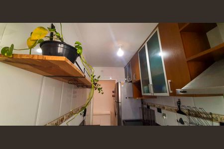 Apartamento para alugar com 54m², 3 quartos e 1 vaga Apartamento para alugar com 54m², 3 quartos e 1 vagaCozinha