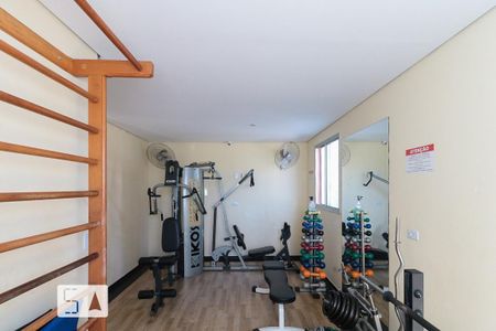 Apartamento para alugar com 54m², 3 quartos e 1 vaga Apartamento para alugar com 54m², 3 quartos e 1 vagaÁrea comum - Academia