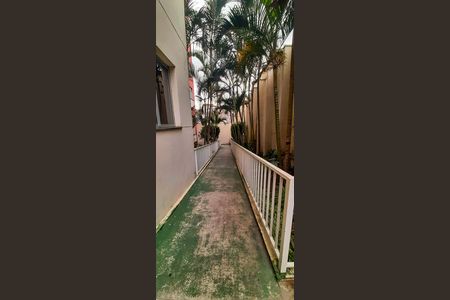 Apartamento para alugar com 54m², 3 quartos e 1 vaga Apartamento para alugar com 54m², 3 quartos e 1 vagaAcessibilidade