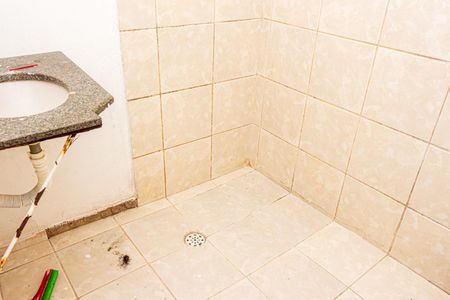 Banheiro Social de casa para alugar com 1 quarto, 100m² em Jardim Lallo, São Paulo