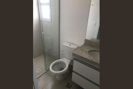 Banheiro Social de apartamento para alugar com 2 quartos, 57m² em Jardim Pauliceia, Campinas