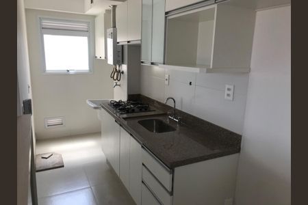 Cozinha  de apartamento para alugar com 2 quartos, 57m² em Jardim Pauliceia, Campinas