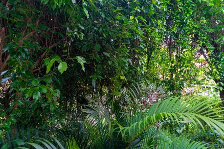 Casa à venda com 267m², 5 quartos e 8 vagasCasa 2 - Vista do Quarto 1