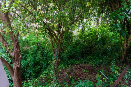 Casa à venda com 267m², 5 quartos e 8 vagasCasa 2 - Vista da Suite