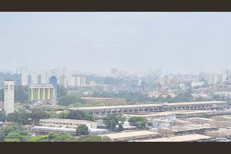 Apartamento para alugar com 187m², 3 quartos e 3 vagasSuíte 1