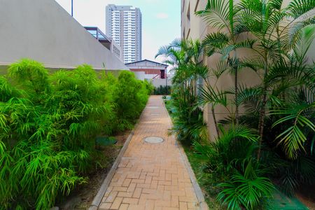 Apartamento para alugar com 33m², 2 quartos e sem vaga Apartamento para alugar com 33m², 2 quartos e sem vagaÁrea comum