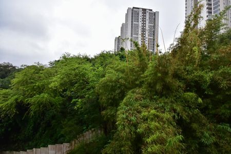 Apartamento à venda com 49m², 2 quartos e 1 vagaVista do Quarto 2