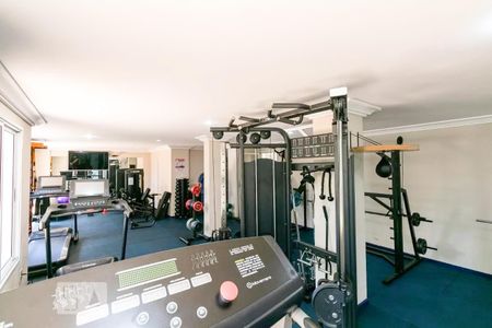 Apartamento para alugar com 65m², 2 quartos e 1 vaga Apartamento para alugar com 65m², 2 quartos e 1 vagaÁrea comum - Academia