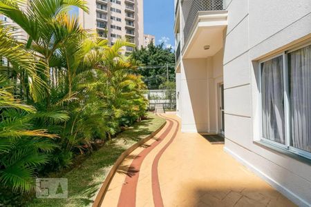 Apartamento para alugar com 65m², 2 quartos e 1 vaga Apartamento para alugar com 65m², 2 quartos e 1 vagaÁrea comum