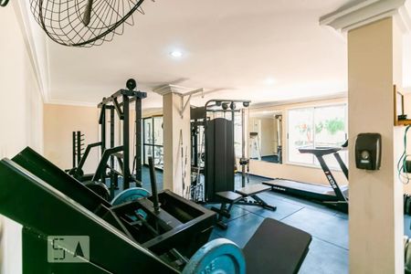 Apartamento para alugar com 65m², 2 quartos e 1 vaga Apartamento para alugar com 65m², 2 quartos e 1 vagaÁrea comum - Academia