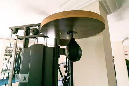 Apartamento para alugar com 65m², 2 quartos e 1 vaga Apartamento para alugar com 65m², 2 quartos e 1 vagaÁrea comum - Academia