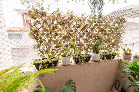 Apartamento para alugar com 55m², 2 quartos e 1 vaga Apartamento para alugar com 55m², 2 quartos e 1 vagaVaranda