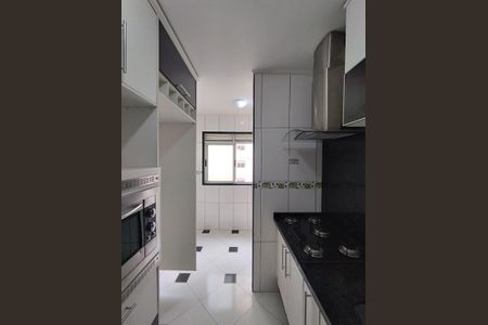 Apartamento para alugar com 63m², 3 quartos e 1 vaga Apartamento para alugar com 63m², 3 quartos e 1 vagaCozinha - Armários