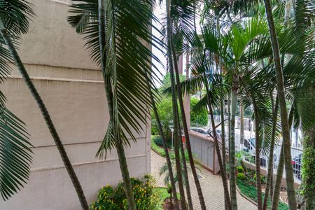 Apartamento para alugar com 98m², 3 quartos e 1 vaga Apartamento para alugar com 98m², 3 quartos e 1 vagaVista do Quarto 3