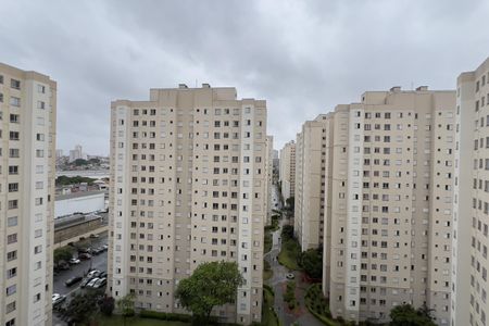 Vista da Sala de apartamento para alugar com 2 quartos, 49m² em Ponte Grande, Guarulhos