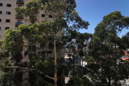 Vista da Varanda da Sala de apartamento para alugar com 2 quartos, 55m² em Vila Lusitania, São Bernardo do Campo