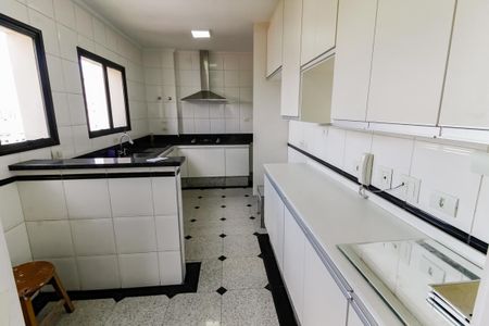 Apartamento à venda com 214m², 3 quartos e 3 vagas Apartamento à venda com 214m², 3 quartos e 3 vagasCozinha - Armários