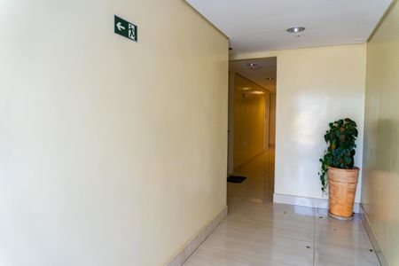 Apartamento à venda com 65m², 2 quartos e 1 vaga Apartamento à venda com 65m², 2 quartos e 1 vagaHall social