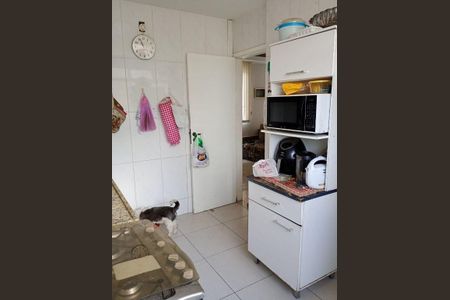 Apartamento à venda com 3 quartos, 115m² em Grajaú, Belo Horizonte