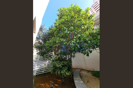 Apartamento à venda com 81m², 3 quartos e 1 vagaÁREA VERDE