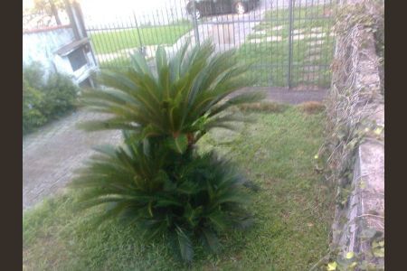 Casa à venda com 350m², 3 quartos e 4 vagas