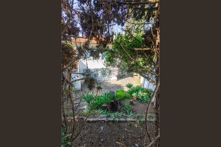 Casa à venda com 350m², 3 quartos e 4 vagas