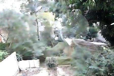 Casa à venda com 4 quartos, 240m² em Cambuci, São Paulo