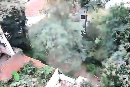 Casa à venda com 4 quartos, 240m² em Cambuci, São Paulo