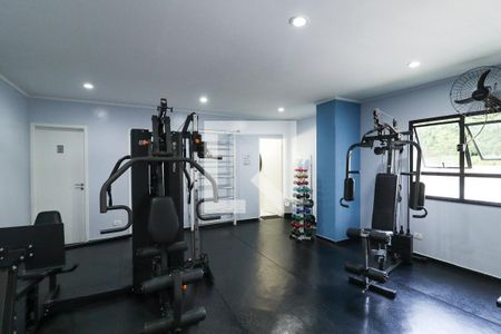 Apartamento à venda com 135m², 3 quartos e 3 vagas Apartamento à venda com 135m², 3 quartos e 3 vagasAcademia