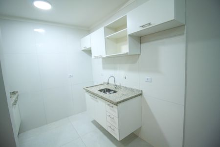 Apartamento para alugar com 40m², 2 quartos e sem vagaCozinha