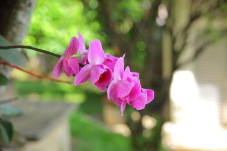 Apartamento para alugar com 52m², 2 quartos e 1 vagaÁrea comum