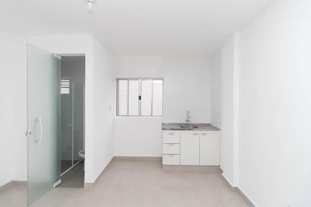 Studio de kitnet/studio para alugar com 1 quarto, 18m² em Vila Maria Baixa, São Paulo