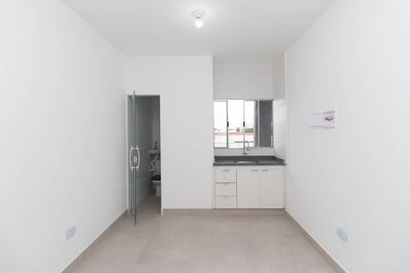 Studio de kitnet/studio para alugar com 1 quarto, 18m² em Vila Maria Baixa, São Paulo