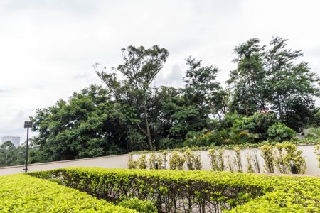 Apartamento para alugar com 55m², 2 quartos e 1 vaga Apartamento para alugar com 55m², 2 quartos e 1 vagaÁrea comum