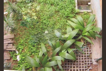 Casa à venda com 420m², 4 quartos e 8 vagas