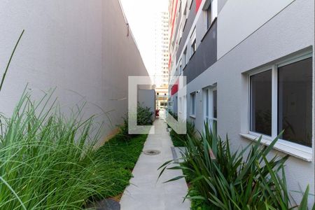 Apartamento para alugar com 25m², 1 quarto e sem vaga Apartamento para alugar com 25m², 1 quarto e sem vagaÁrea comum