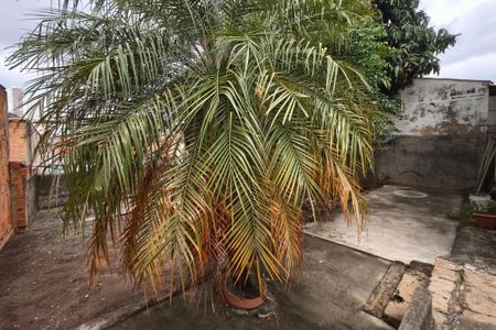 Casa à venda com 220m², 3 quartos e 1 vagaQuintal