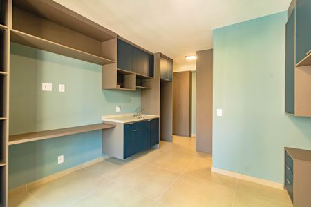 Studio de kitnet/studio para alugar com 1 quarto, 30m² em Vila Santa Catarina, São Paulo