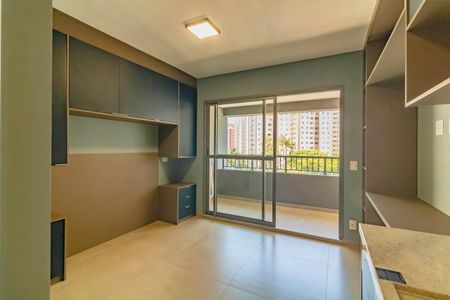 Studio de kitnet/studio para alugar com 1 quarto, 30m² em Vila Santa Catarina, São Paulo