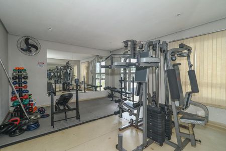 Apartamento à venda com 63m², 3 quartos e 1 vagaÁrea comum - Academia