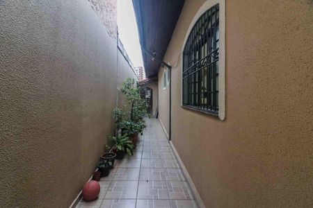 Casa para alugar com 290m², 3 quartos e 4 vagasQuintal