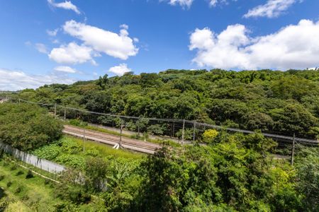 Vista Varanda de apartamento para alugar com 2 quartos, 49m² em Usina Piratininga, São Paulo