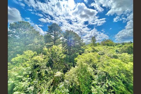 Apartamento para alugar com 47m², 2 quartos e 1 vagaVista do Quarto 2