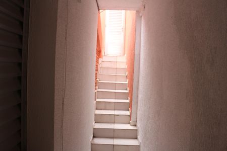 Casa para alugar com 40m², 1 quarto e sem vagaQuintal