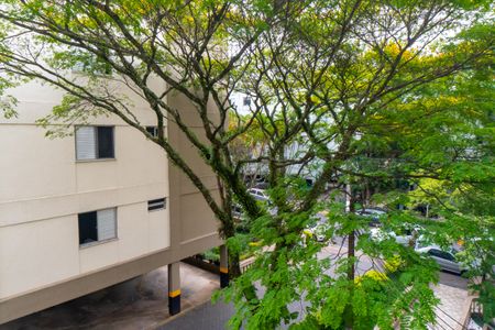 Vista da Suite de apartamento à venda com 3 quartos, 92m² em Vila Guarani, São Paulo