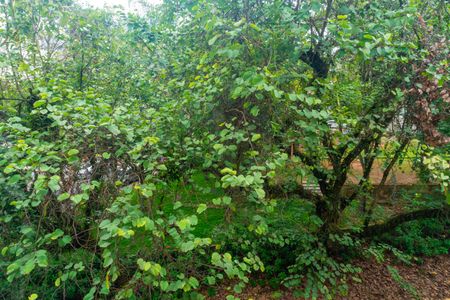 Apartamento à venda com 92m², 3 quartos e 1 vagaVista da Sala