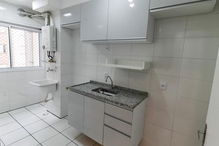 Apartamento para alugar com 45m², 2 quartos e 1 vaga Apartamento para alugar com 45m², 2 quartos e 1 vagaCozinha - Armários