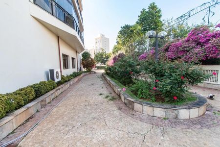 Apartamento à venda com 113m², 3 quartos e 2 vagasFoto 41